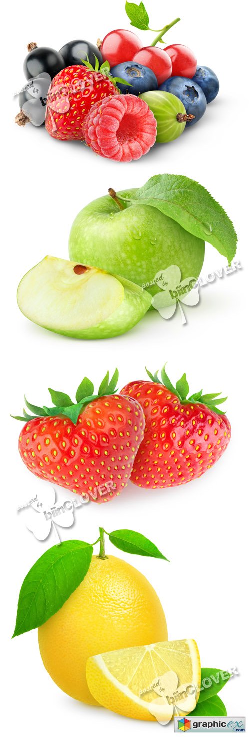 Fruits, citrus and berries 0491