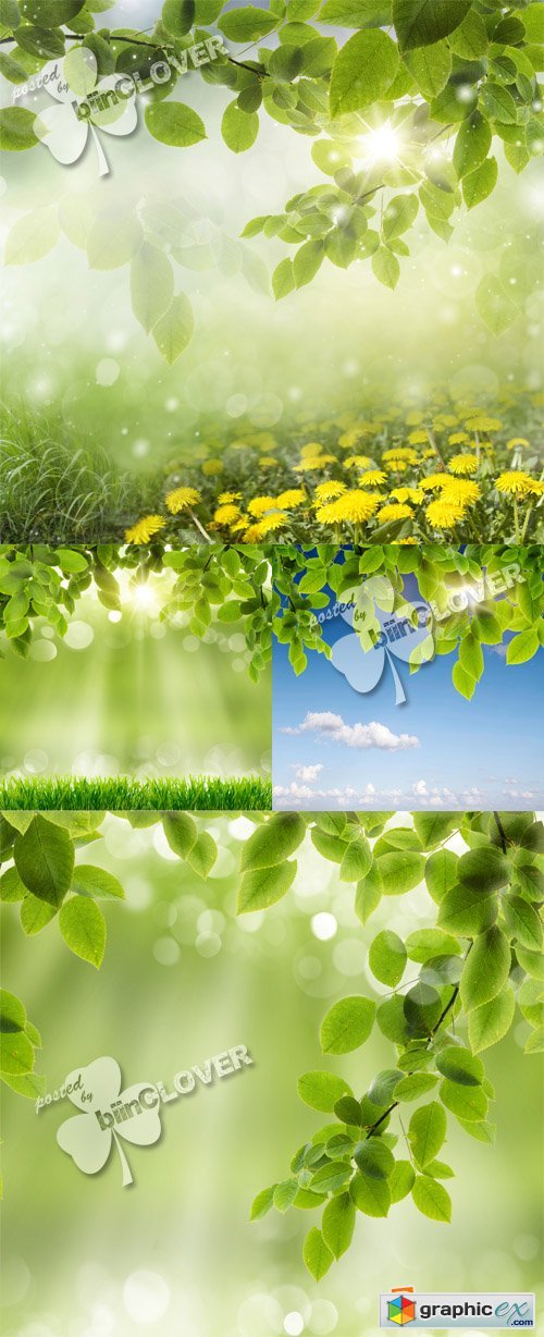 Spring background 0387