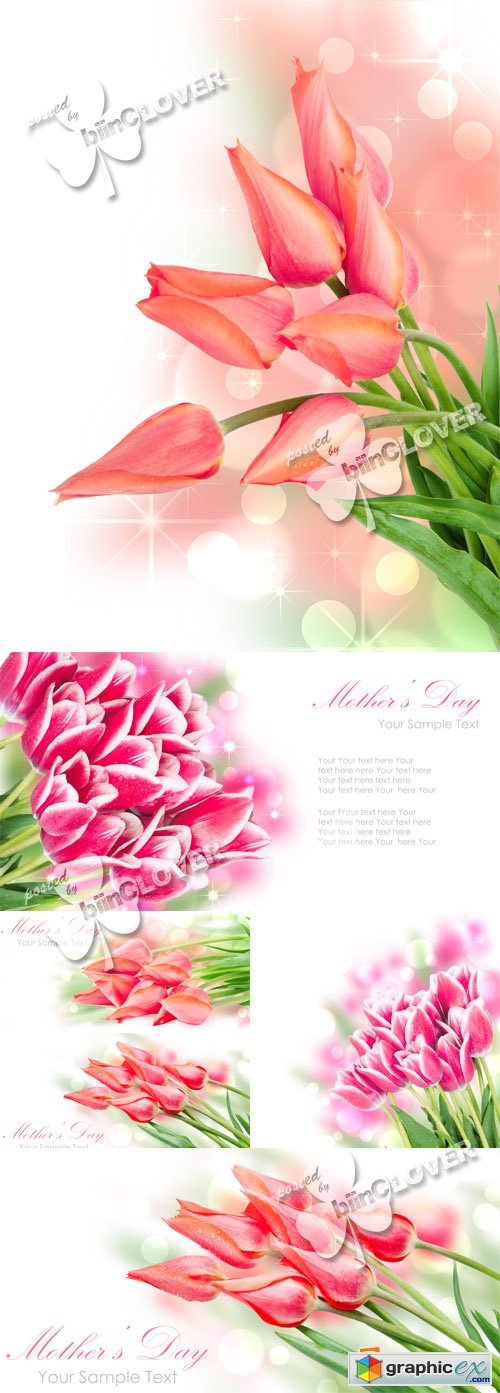 Tulips bouquet 0383