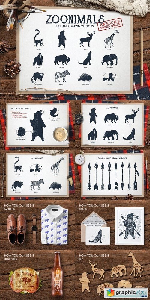 ZOONIMALS. Hand Drawn Animals