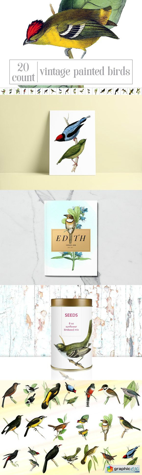 Vintage Birds Bundle