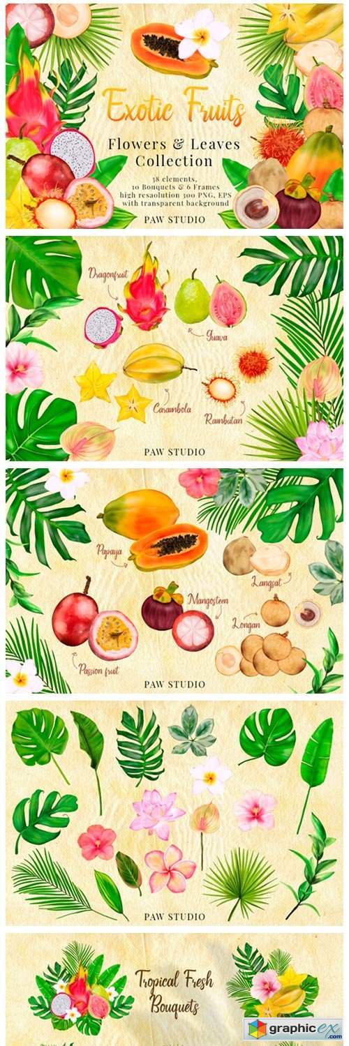 Tropical Graphic Fruits, Flowers, Leaves
