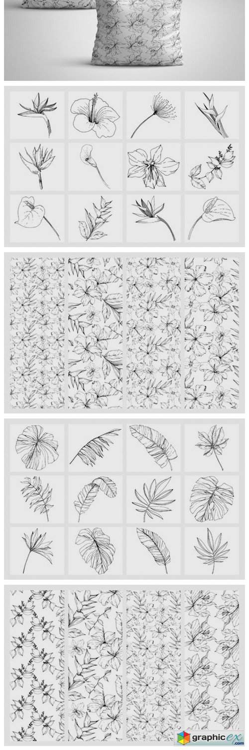  Tropical Leaves and Flowers 
