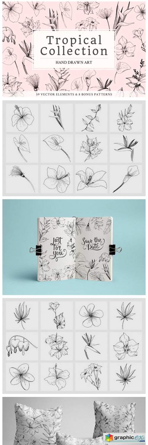  Tropical Leaves and Flowers 