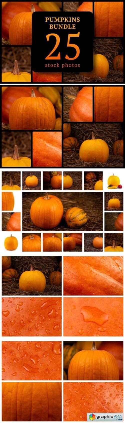 Pumpkins Bundle 25 Stock Photos