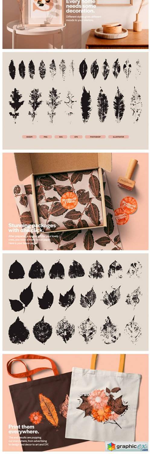 Stamped Prints of Leaves & Flowers