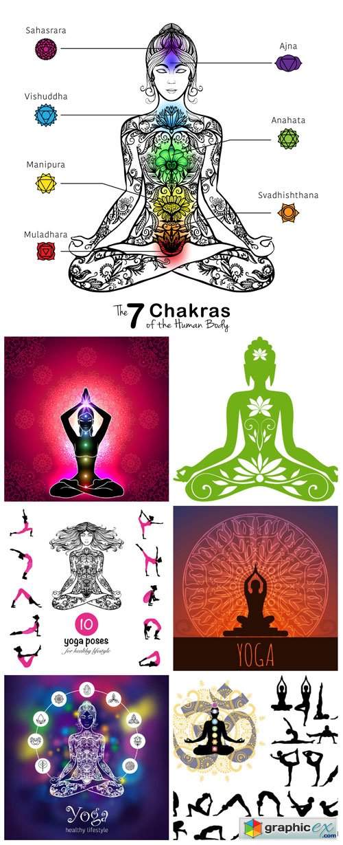  Yoga vector illustration 