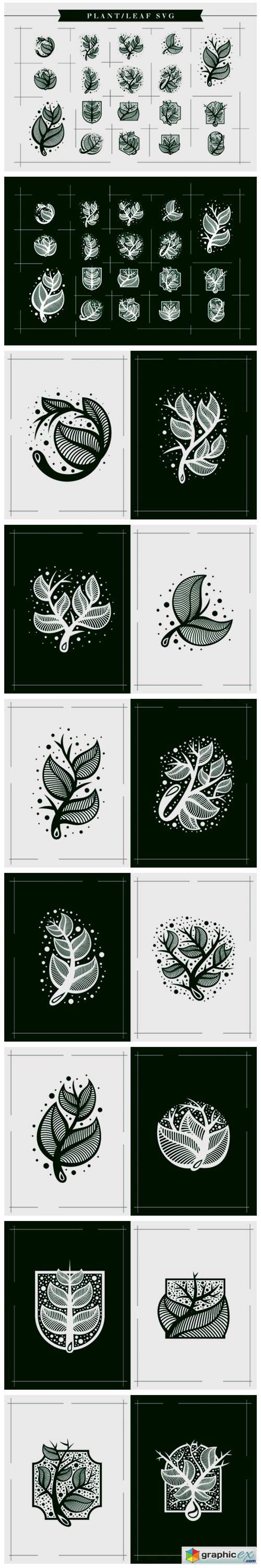  Plants Leafs 