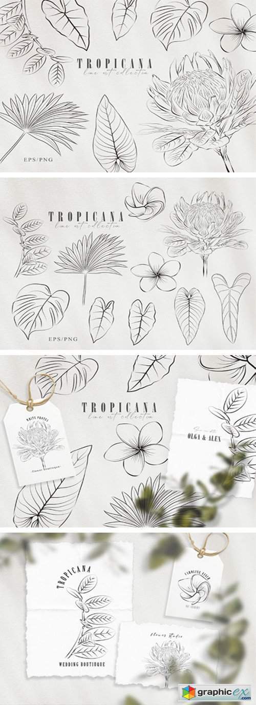Line Art Tropical Plants Clipart Set