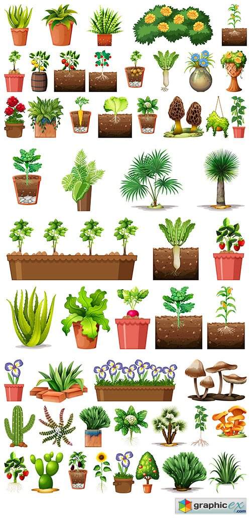  Set of different plants pots isolated 