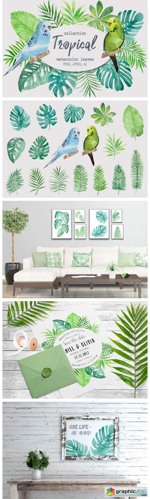 Tropical Leaves and Birds