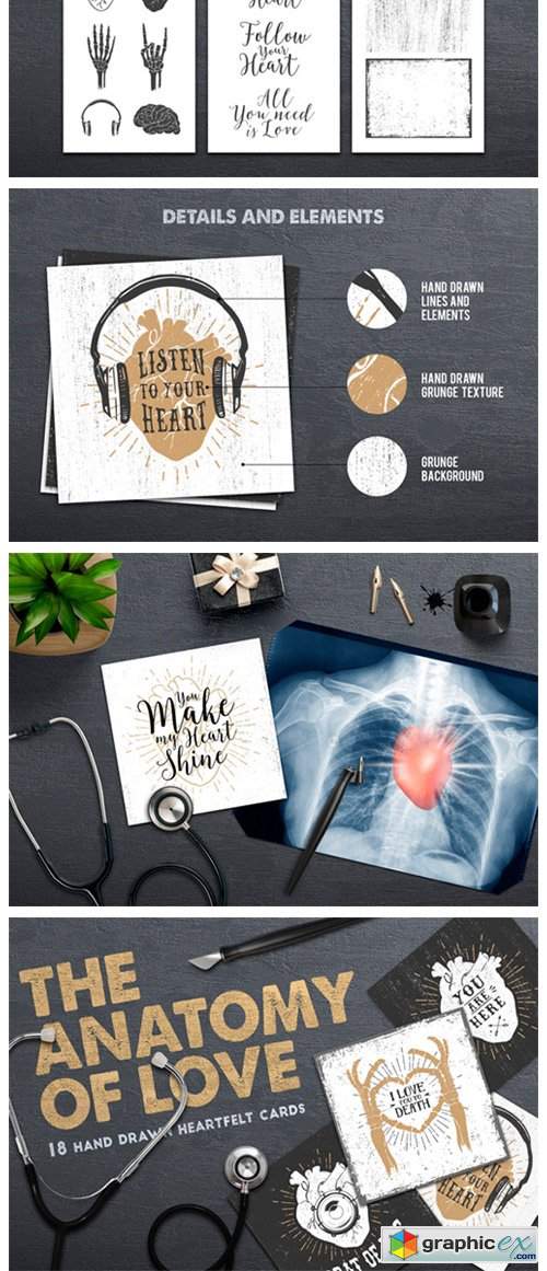  Anatomy of Love - Collection of Cards 