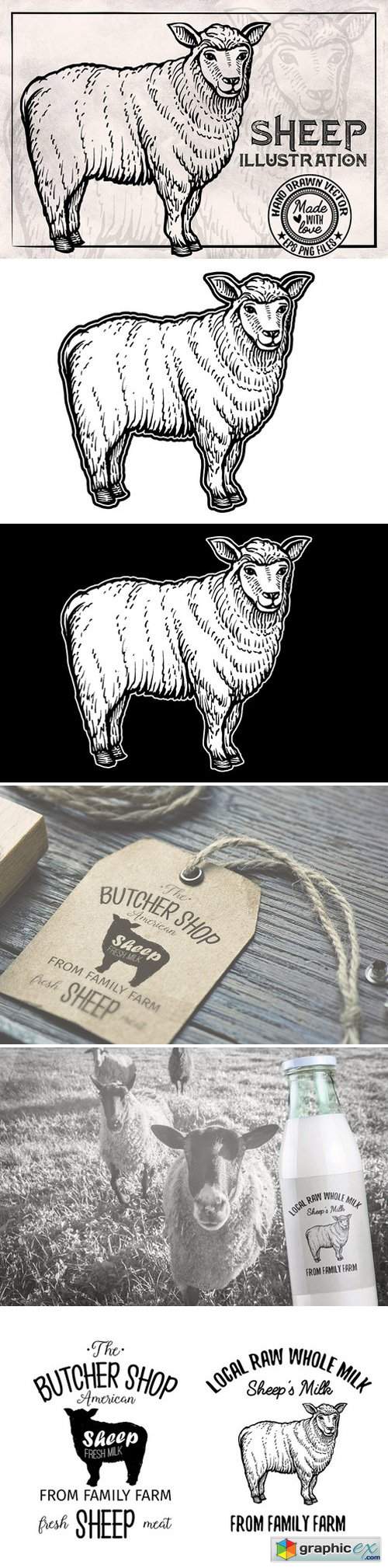 Sheep Vintage Illustration 1910152