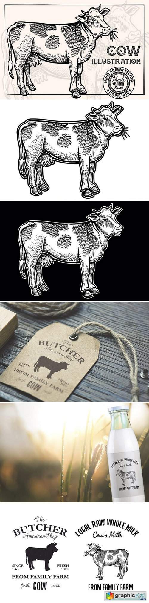 Cow Vintage Illustration 1910176