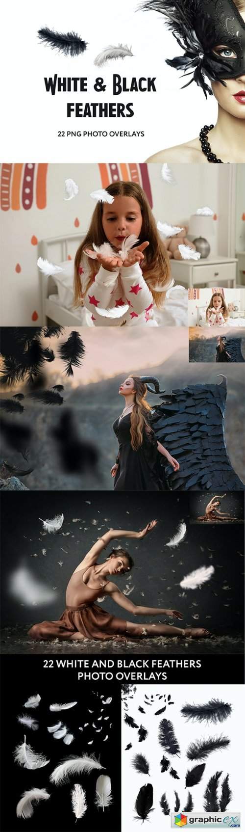 22 White and Black feathers Photo Overlays 
